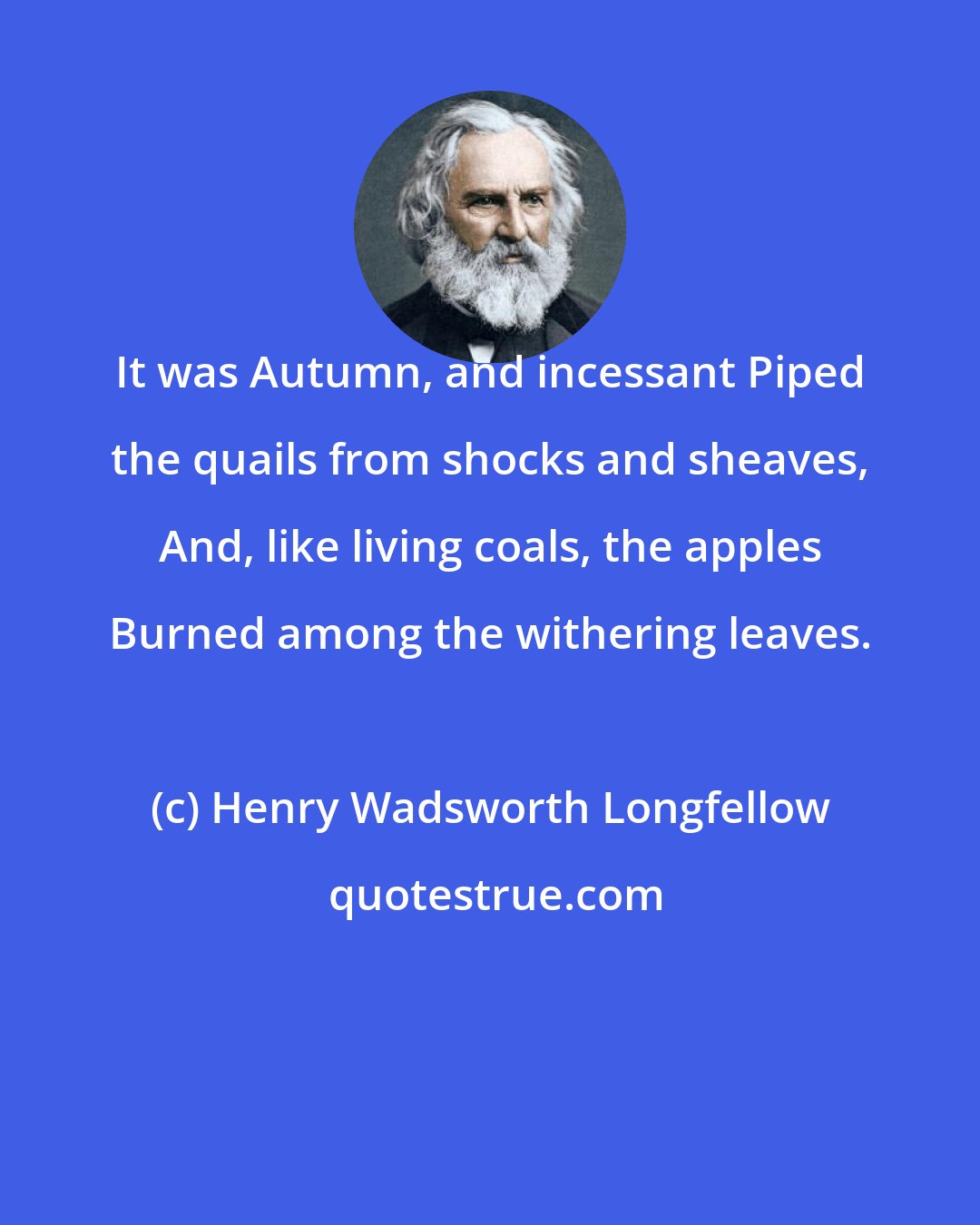 Henry Wadsworth Longfellow: It was Autumn, and incessant Piped the quails from shocks and sheaves, And, like living coals, the apples Burned among the withering leaves.