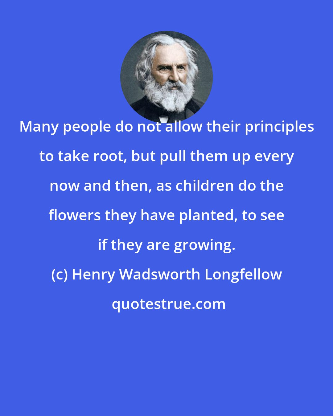 Henry Wadsworth Longfellow: Many people do not allow their principles to take root, but pull them up every now and then, as children do the flowers they have planted, to see if they are growing.