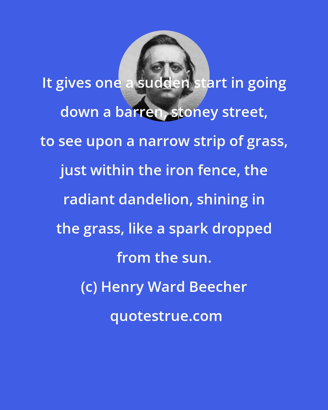 Henry Ward Beecher: It gives one a sudden start in going down a barren, stoney street, to see upon a narrow strip of grass, just within the iron fence, the radiant dandelion, shining in the grass, like a spark dropped from the sun.