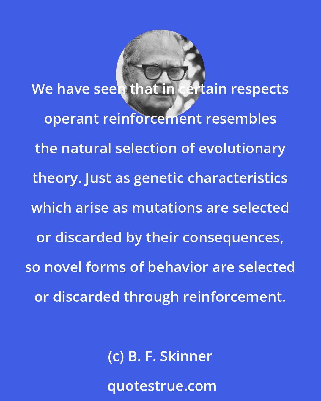 B. F. Skinner: We have seen that in certain respects operant reinforcement resembles the natural selection of evolutionary theory. Just as genetic characteristics which arise as mutations are selected or discarded by their consequences, so novel forms of behavior are selected or discarded through reinforcement.