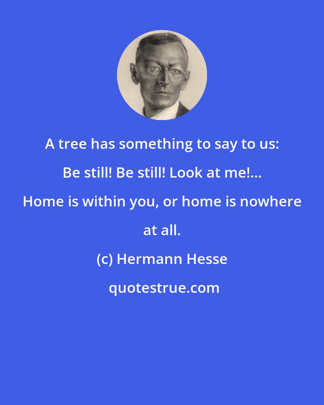 Hermann Hesse: A tree has something to say to us: Be still! Be still! Look at me!... Home is within you, or home is nowhere at all.