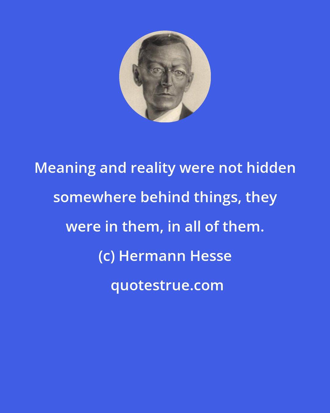 Hermann Hesse: Meaning and reality were not hidden somewhere behind things, they were in them, in all of them.