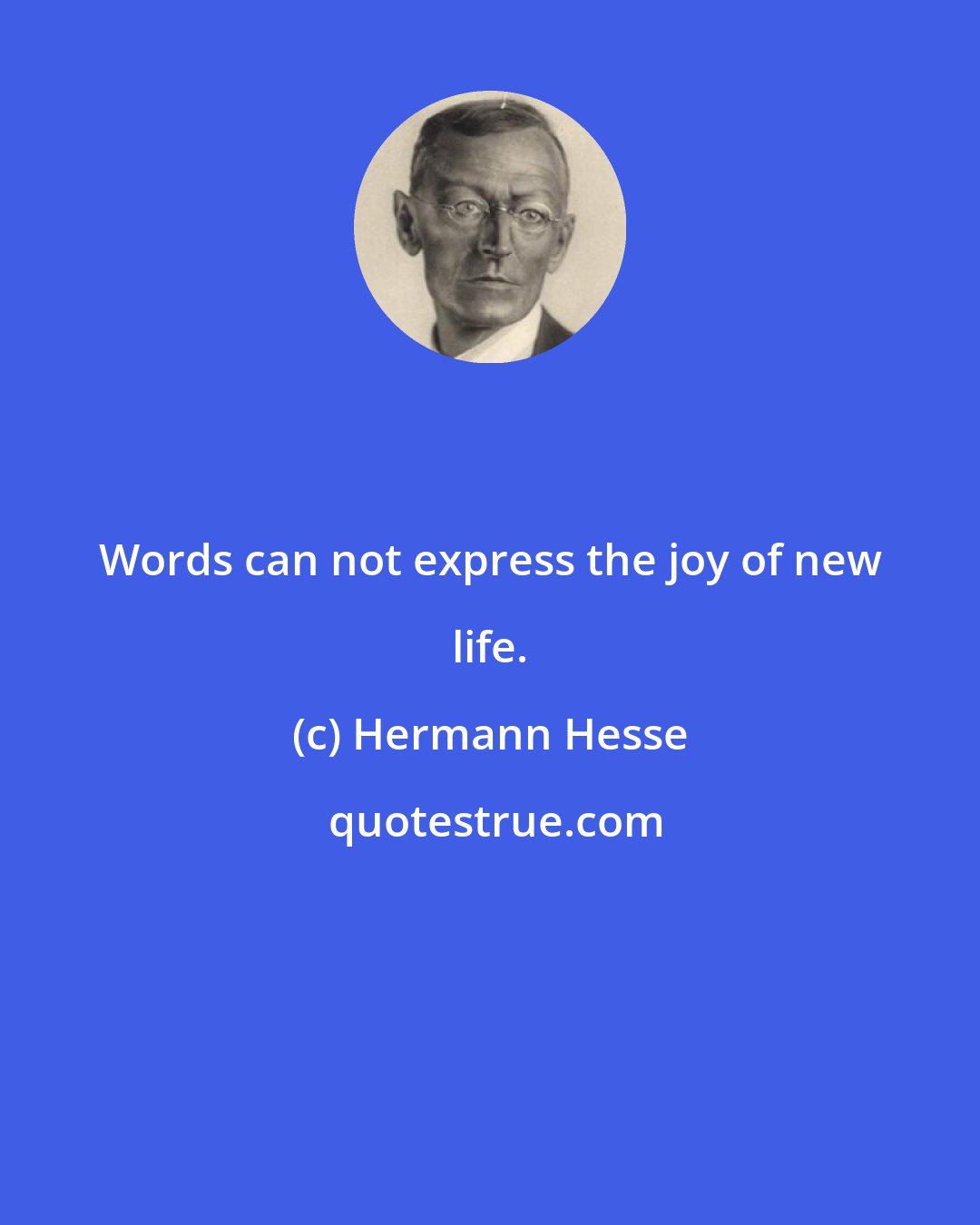 Hermann Hesse: Words can not express the joy of new life.