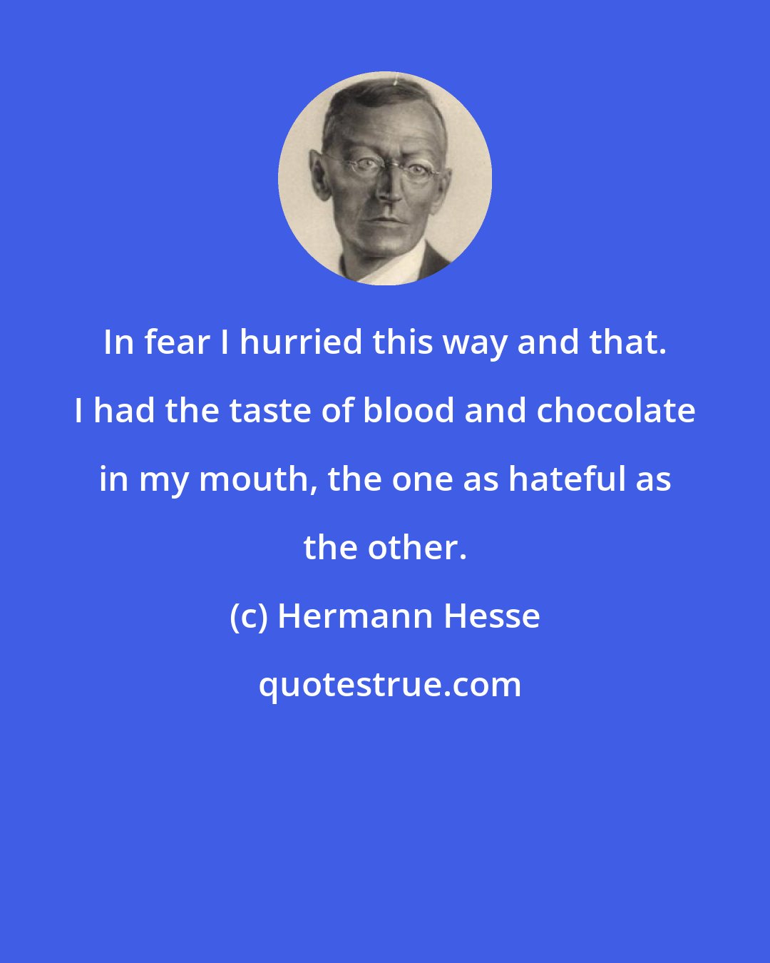 Hermann Hesse: In fear I hurried this way and that. I had the taste of blood and chocolate in my mouth, the one as hateful as the other.