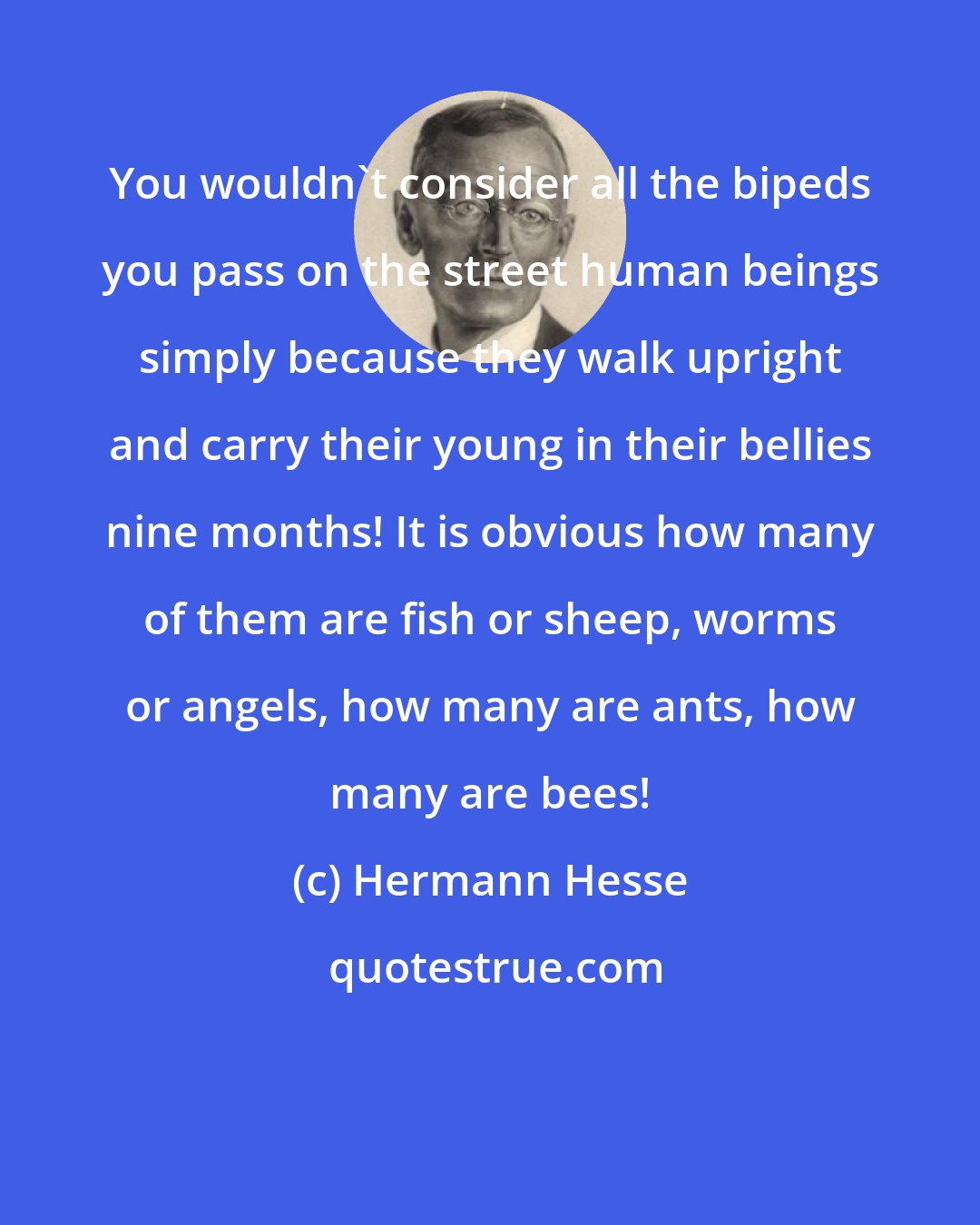 Hermann Hesse: You wouldn't consider all the bipeds you pass on the street human beings simply because they walk upright and carry their young in their bellies nine months! It is obvious how many of them are fish or sheep, worms or angels, how many are ants, how many are bees!