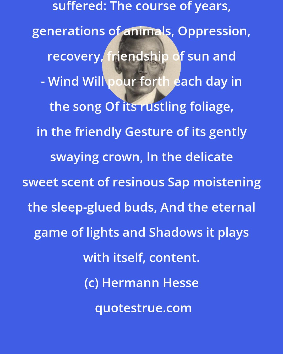 Hermann Hesse: All it has experienced, tasted, suffered: The course of years, generations of animals, Oppression, recovery, friendship of sun and - Wind Will pour forth each day in the song Of its rustling foliage, in the friendly Gesture of its gently swaying crown, In the delicate sweet scent of resinous Sap moistening the sleep-glued buds, And the eternal game of lights and Shadows it plays with itself, content.