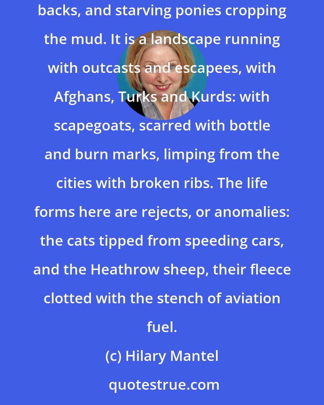 Hilary Mantel: A sea-green sky: lamps blossoming white. This is marginal land: fields of strung wire, of treadless tyres in ditches, fridges dead on their backs, and starving ponies cropping the mud. It is a landscape running with outcasts and escapees, with Afghans, Turks and Kurds: with scapegoats, scarred with bottle and burn marks, limping from the cities with broken ribs. The life forms here are rejects, or anomalies: the cats tipped from speeding cars, and the Heathrow sheep, their fleece clotted with the stench of aviation fuel.