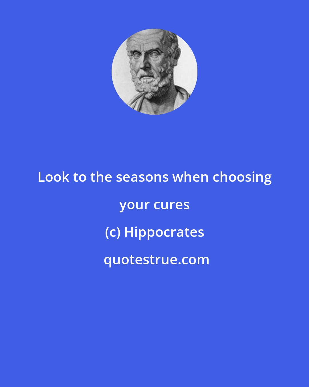 Hippocrates: Look to the seasons when choosing your cures