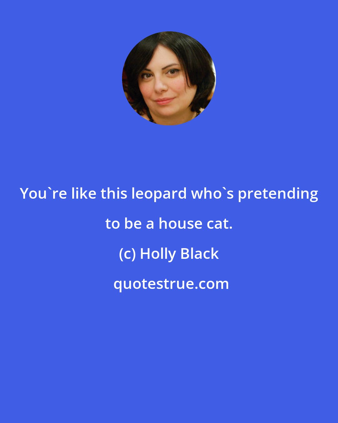 Holly Black: You're like this leopard who's pretending to be a house cat.