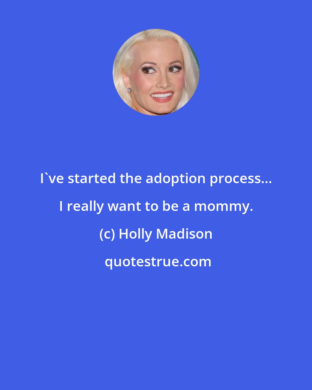 Holly Madison: I've started the adoption process... I really want to be a mommy.