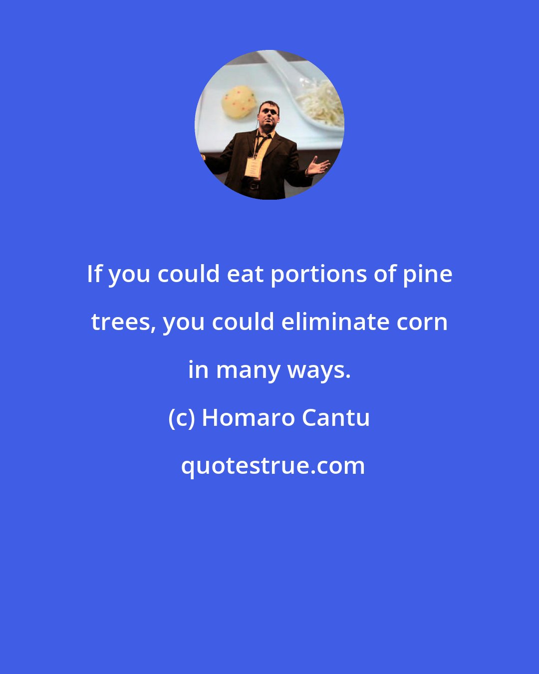 Homaro Cantu: If you could eat portions of pine trees, you could eliminate corn in many ways.