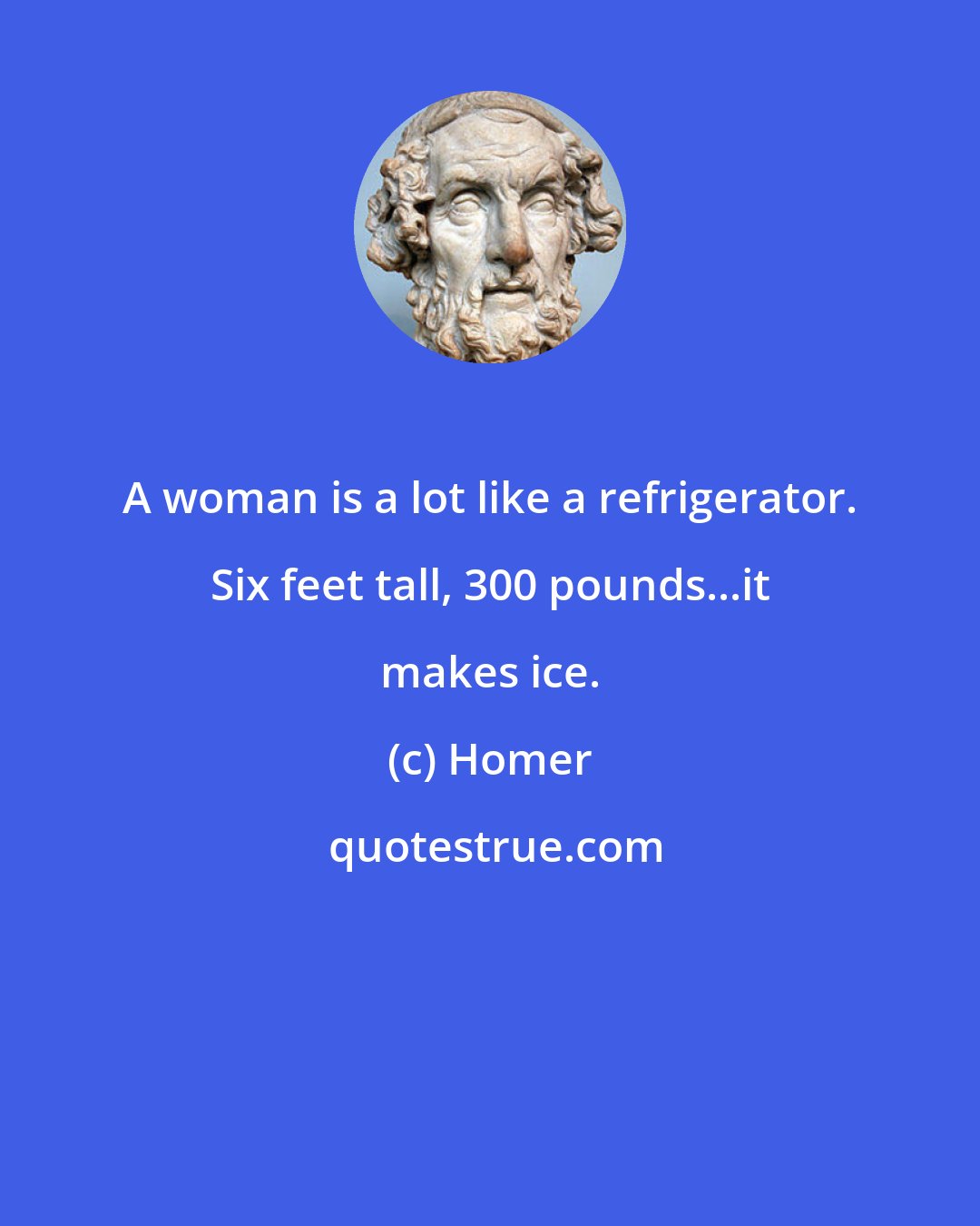 Homer: A woman is a lot like a refrigerator. Six feet tall, 300 pounds...it makes ice.