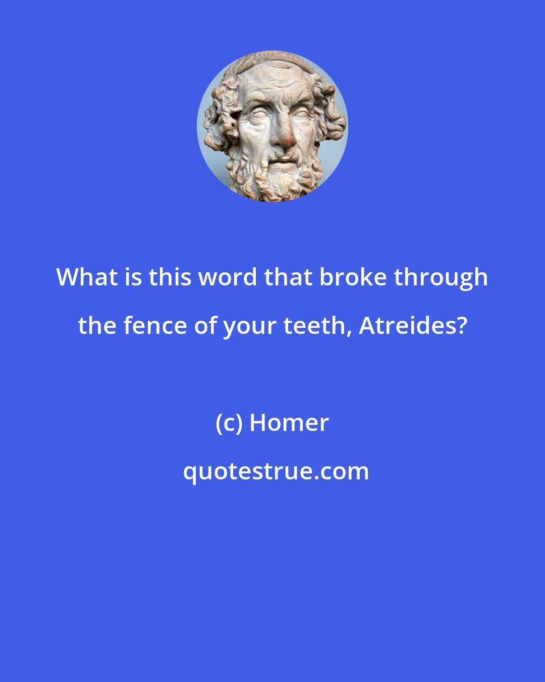 Homer: What is this word that broke through the fence of your teeth, Atreides?