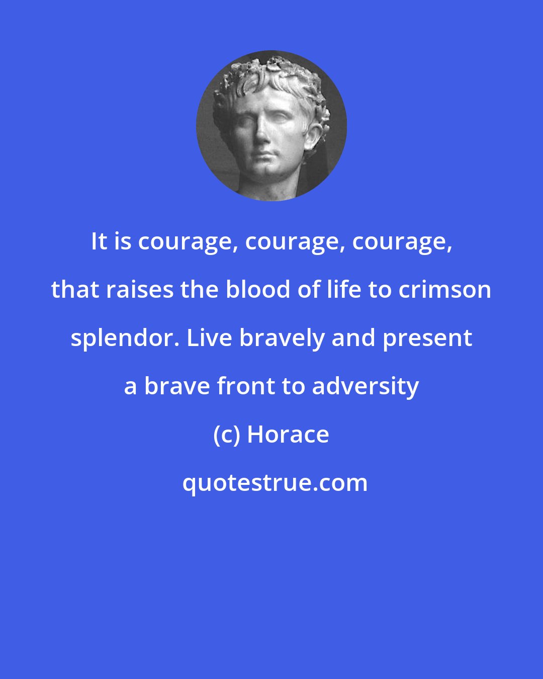 Horace: It is courage, courage, courage, that raises the blood of life to crimson splendor. Live bravely and present a brave front to adversity