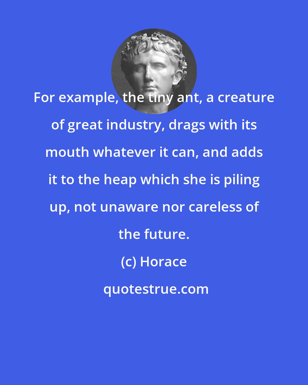 Horace: For example, the tiny ant, a creature of great industry, drags with its mouth whatever it can, and adds it to the heap which she is piling up, not unaware nor careless of the future.