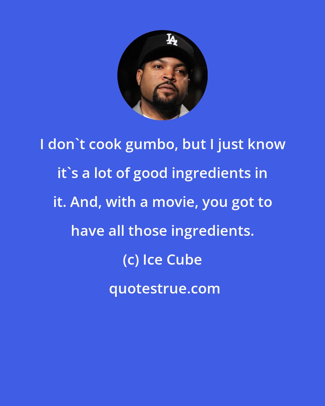 Ice Cube: I don't cook gumbo, but I just know it's a lot of good ingredients in it. And, with a movie, you got to have all those ingredients.