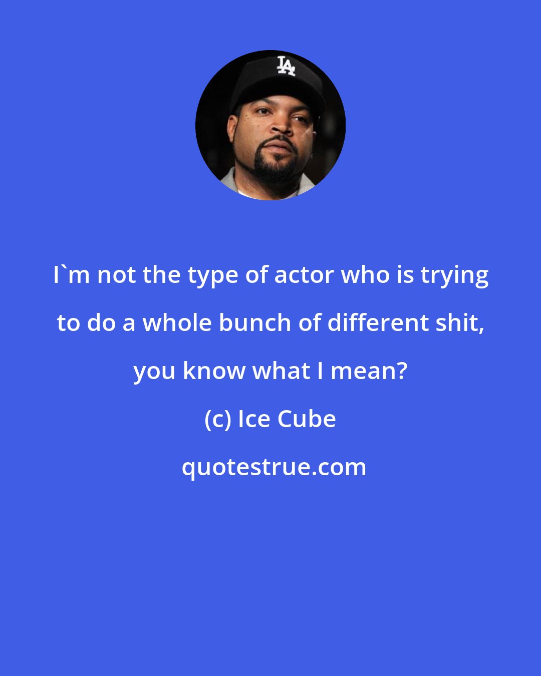 Ice Cube: I'm not the type of actor who is trying to do a whole bunch of different shit, you know what I mean?