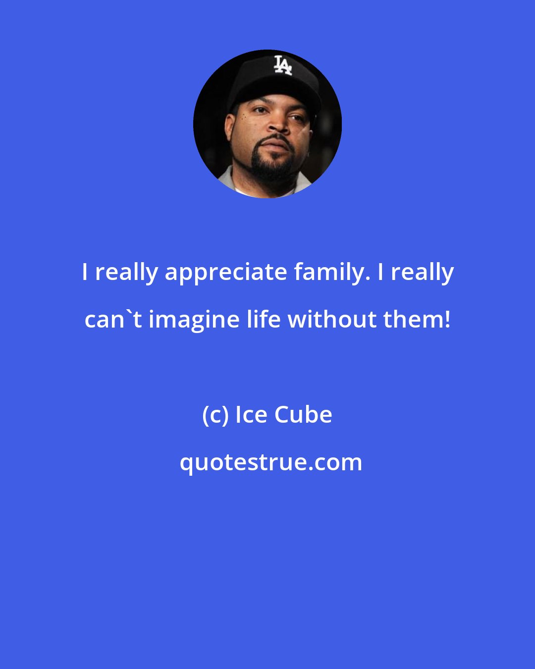 Ice Cube: I really appreciate family. I really can't imagine life without them!