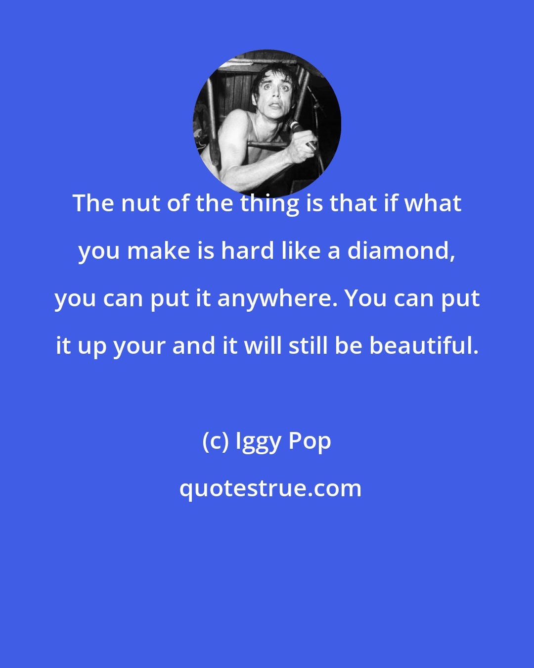 Iggy Pop: The nut of the thing is that if what you make is hard like a diamond, you can put it anywhere. You can put it up your and it will still be beautiful.