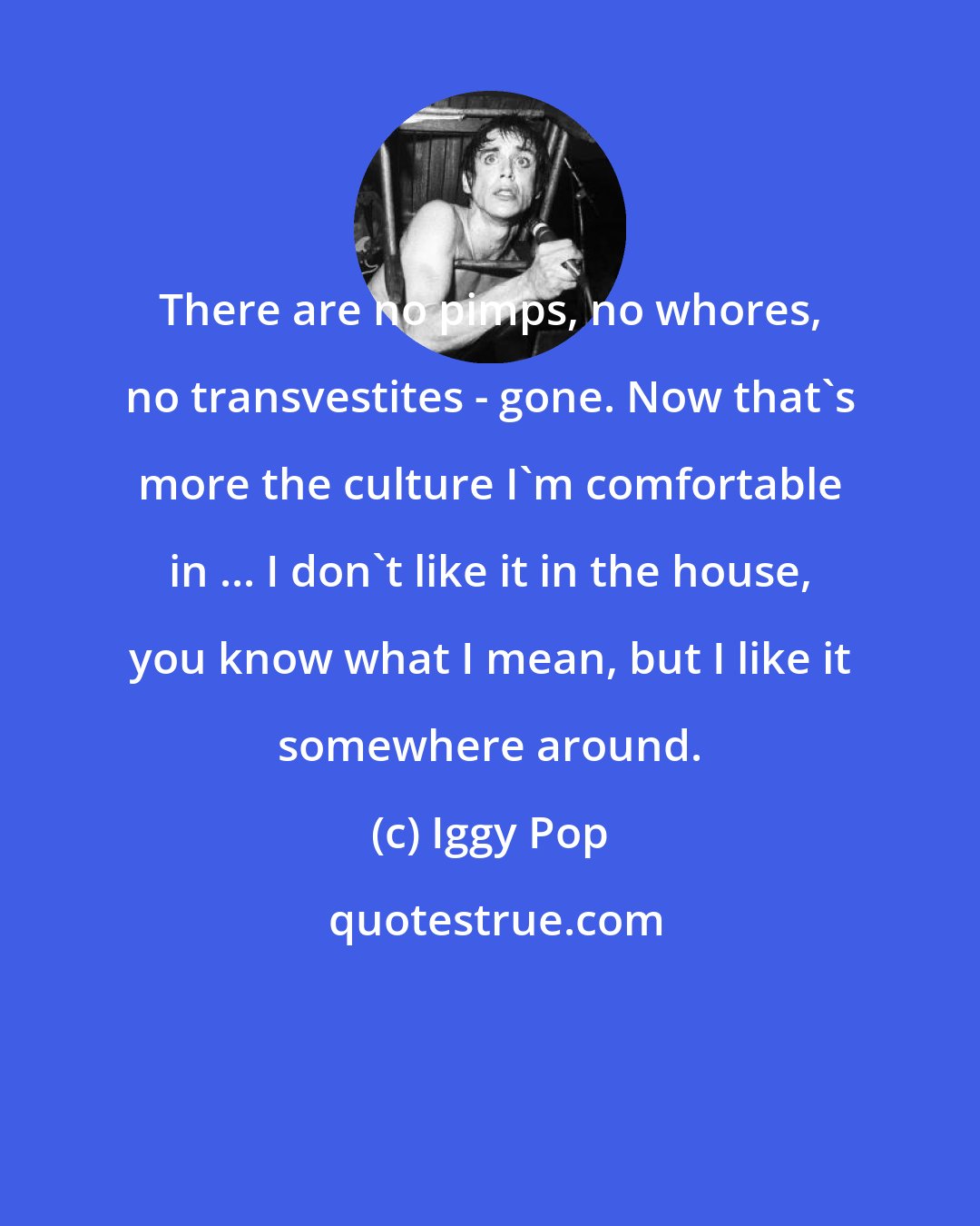 Iggy Pop: There are no pimps, no whores, no transvestites - gone. Now that's more the culture I'm comfortable in ... I don't like it in the house, you know what I mean, but I like it somewhere around.