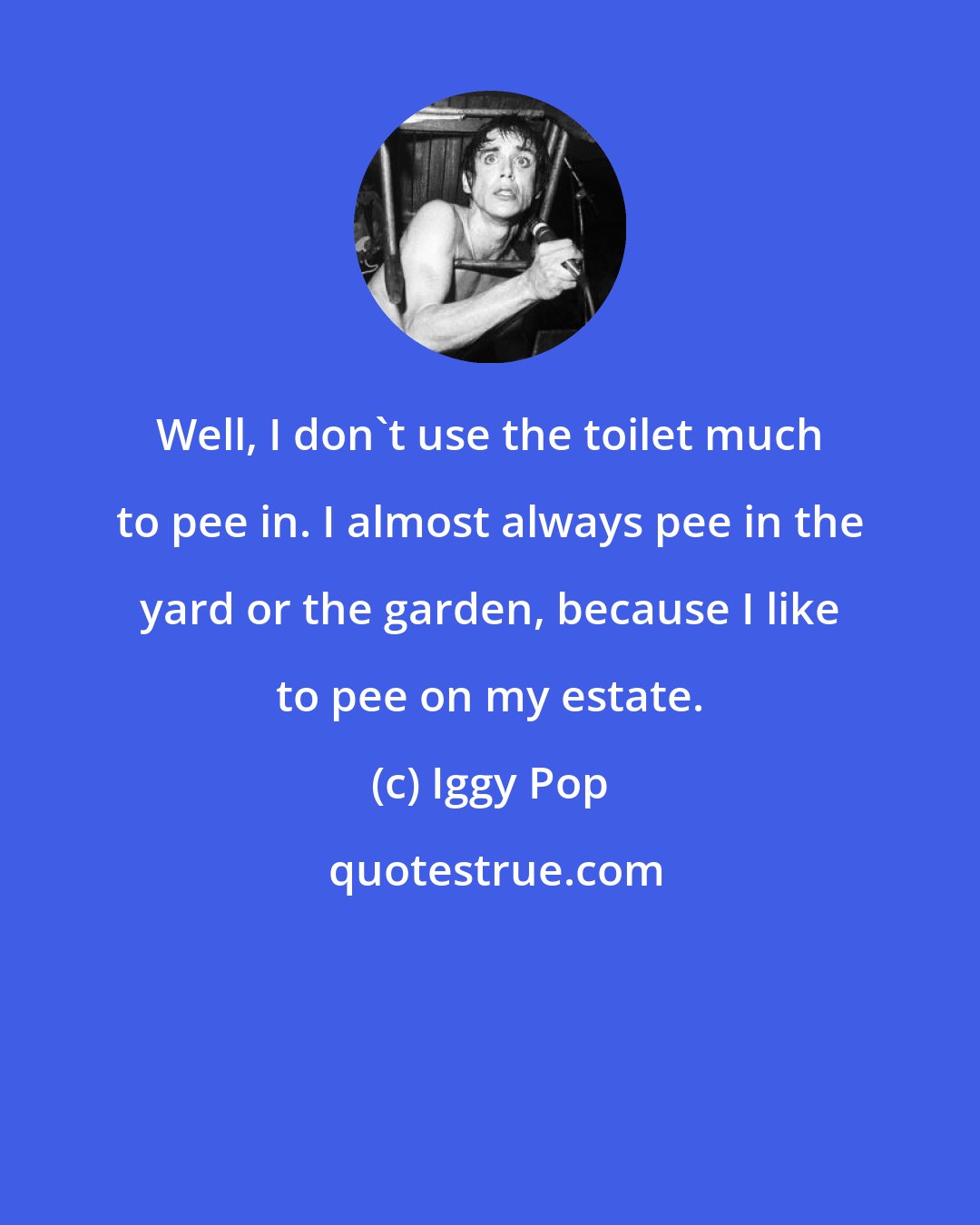 Iggy Pop: Well, I don't use the toilet much to pee in. I almost always pee in the yard or the garden, because I like to pee on my estate.