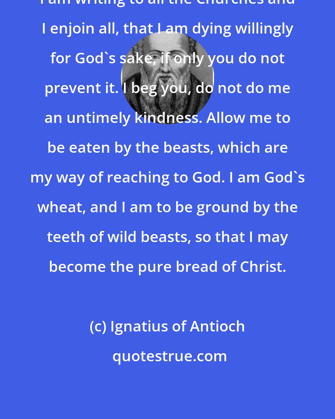 Ignatius of Antioch: I am writing to all the Churches and I enjoin all, that I am dying willingly for God's sake, if only you do not prevent it. I beg you, do not do me an untimely kindness. Allow me to be eaten by the beasts, which are my way of reaching to God. I am God's wheat, and I am to be ground by the teeth of wild beasts, so that I may become the pure bread of Christ.