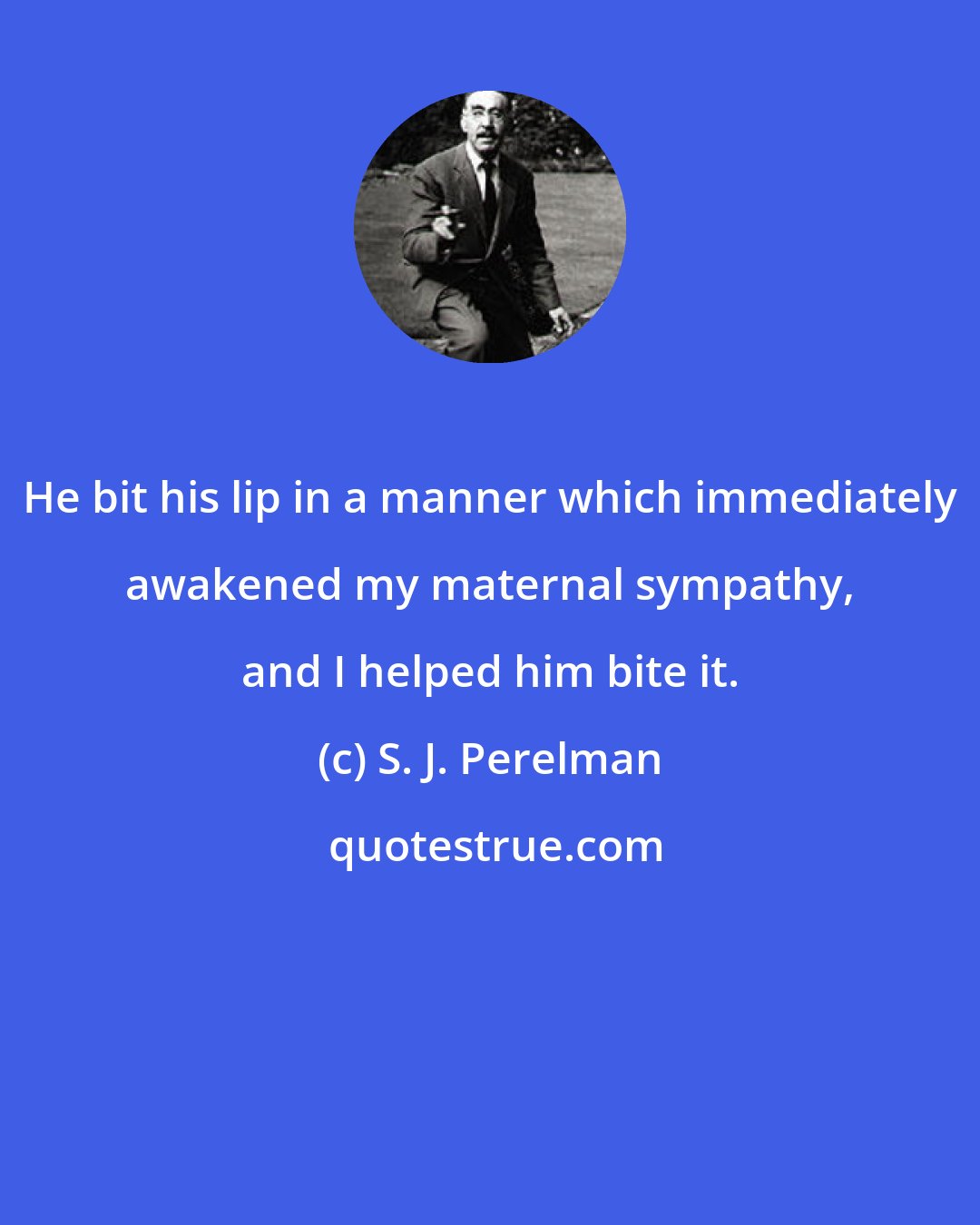 S. J. Perelman: He bit his lip in a manner which immediately awakened my maternal sympathy, and I helped him bite it.