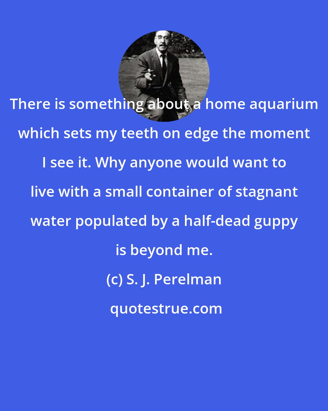 S. J. Perelman: There is something about a home aquarium which sets my teeth on edge the moment I see it. Why anyone would want to live with a small container of stagnant water populated by a half-dead guppy is beyond me.