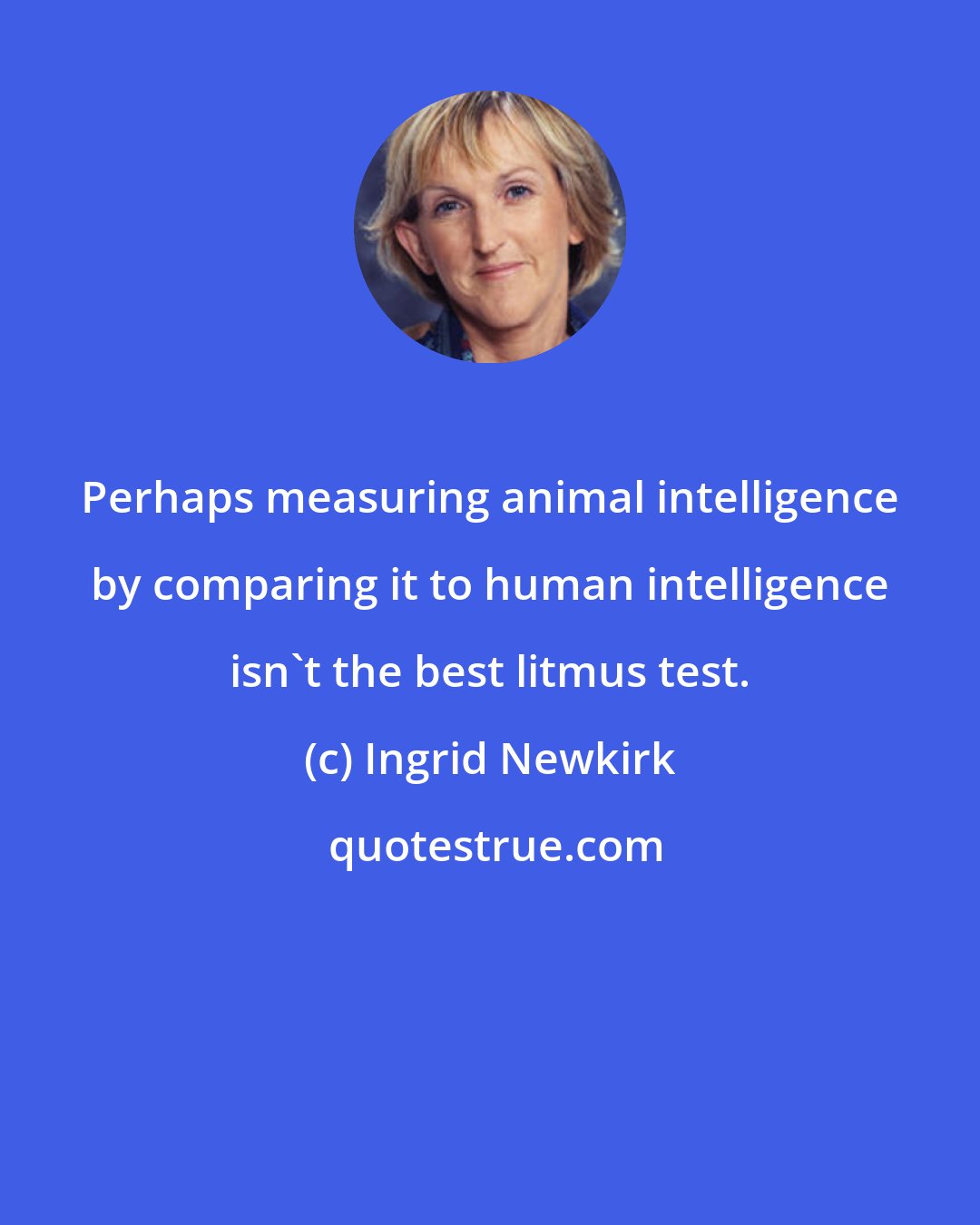 Ingrid Newkirk: Perhaps measuring animal intelligence by comparing it to human intelligence isn't the best litmus test.