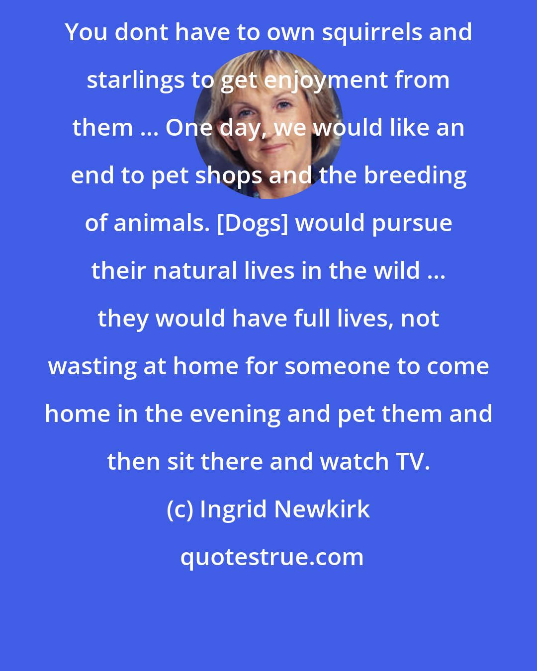 Ingrid Newkirk: You dont have to own squirrels and starlings to get enjoyment from them ... One day, we would like an end to pet shops and the breeding of animals. [Dogs] would pursue their natural lives in the wild ... they would have full lives, not wasting at home for someone to come home in the evening and pet them and then sit there and watch TV.