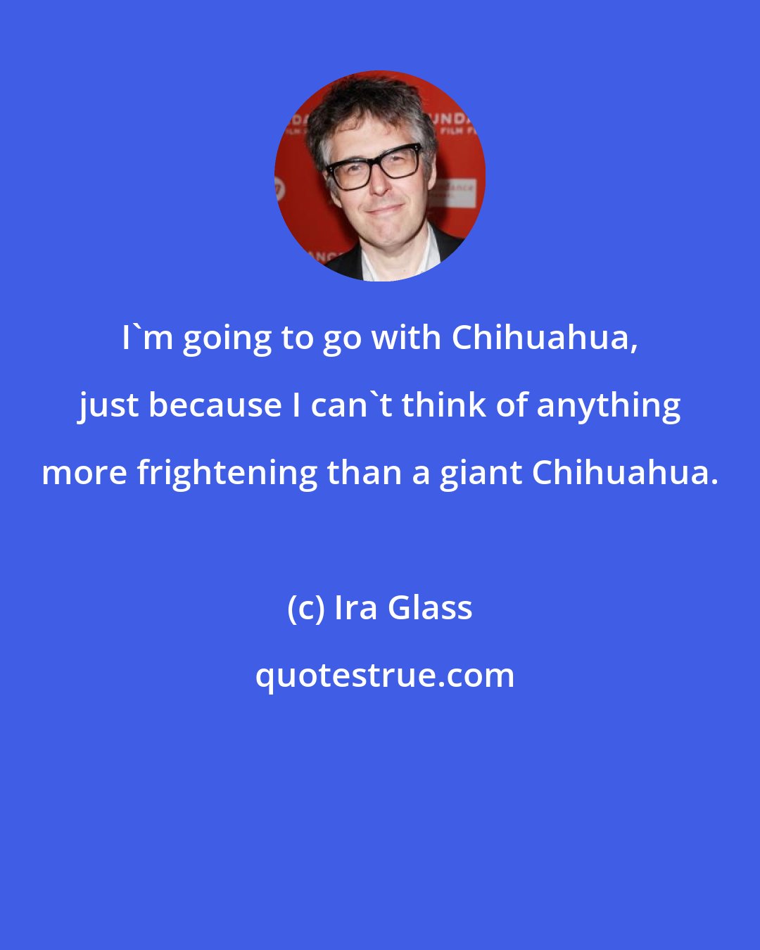 Ira Glass: I'm going to go with Chihuahua, just because I can't think of anything more frightening than a giant Chihuahua.