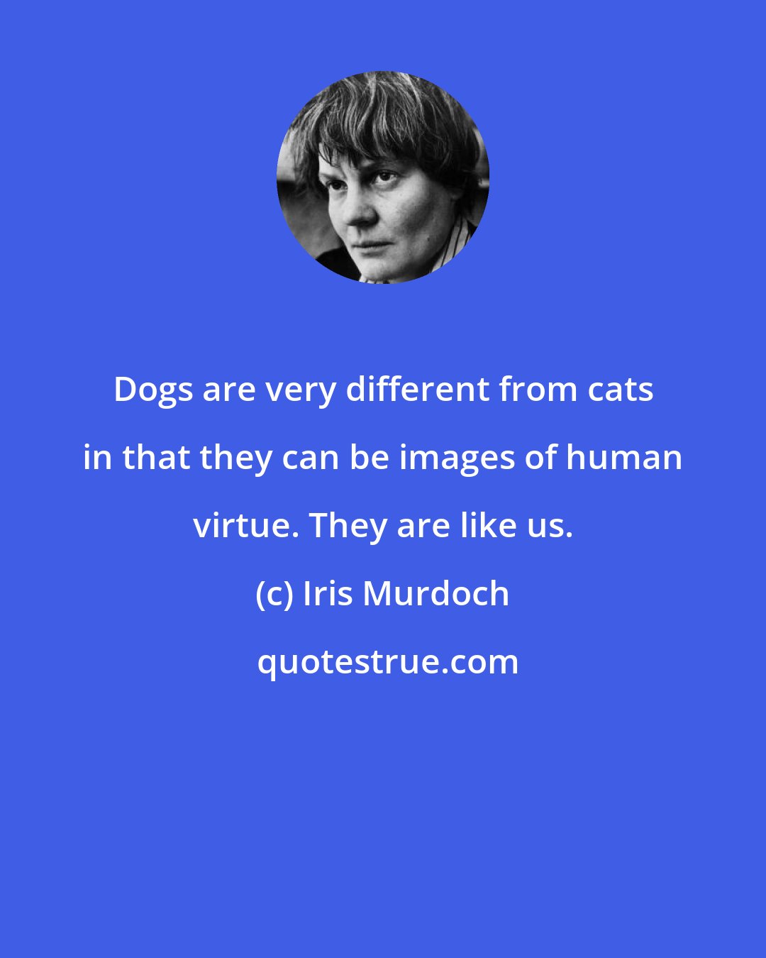 Iris Murdoch: Dogs are very different from cats in that they can be images of human virtue. They are like us.