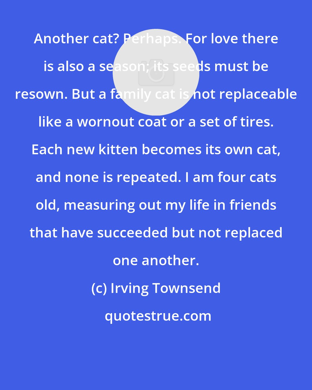 Irving Townsend: Another cat? Perhaps. For love there is also a season; its seeds must be resown. But a family cat is not replaceable like a wornout coat or a set of tires. Each new kitten becomes its own cat, and none is repeated. I am four cats old, measuring out my life in friends that have succeeded but not replaced one another.