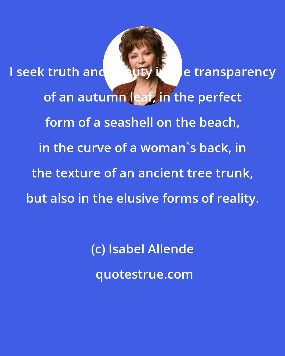 Isabel Allende: I seek truth and beauty in the transparency of an autumn leaf, in the perfect form of a seashell on the beach, in the curve of a woman's back, in the texture of an ancient tree trunk, but also in the elusive forms of reality.