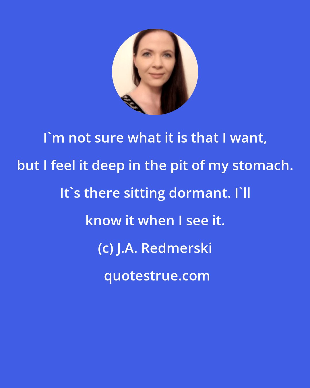 J.A. Redmerski: I'm not sure what it is that I want, but I feel it deep in the pit of my stomach. It's there sitting dormant. I'll know it when I see it.