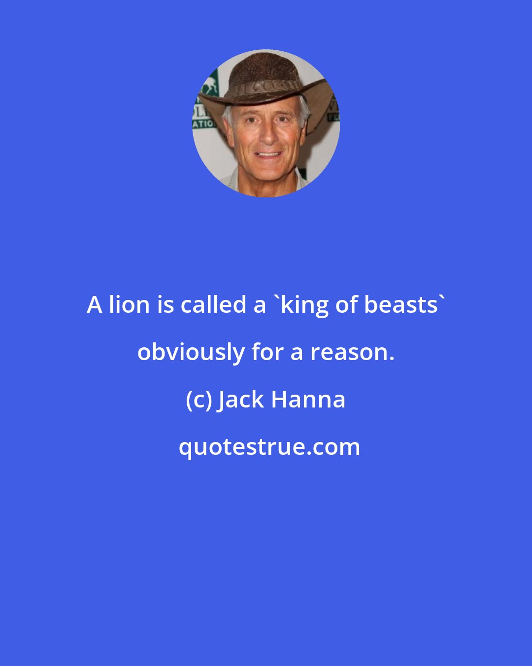 Jack Hanna: A lion is called a 'king of beasts' obviously for a reason.