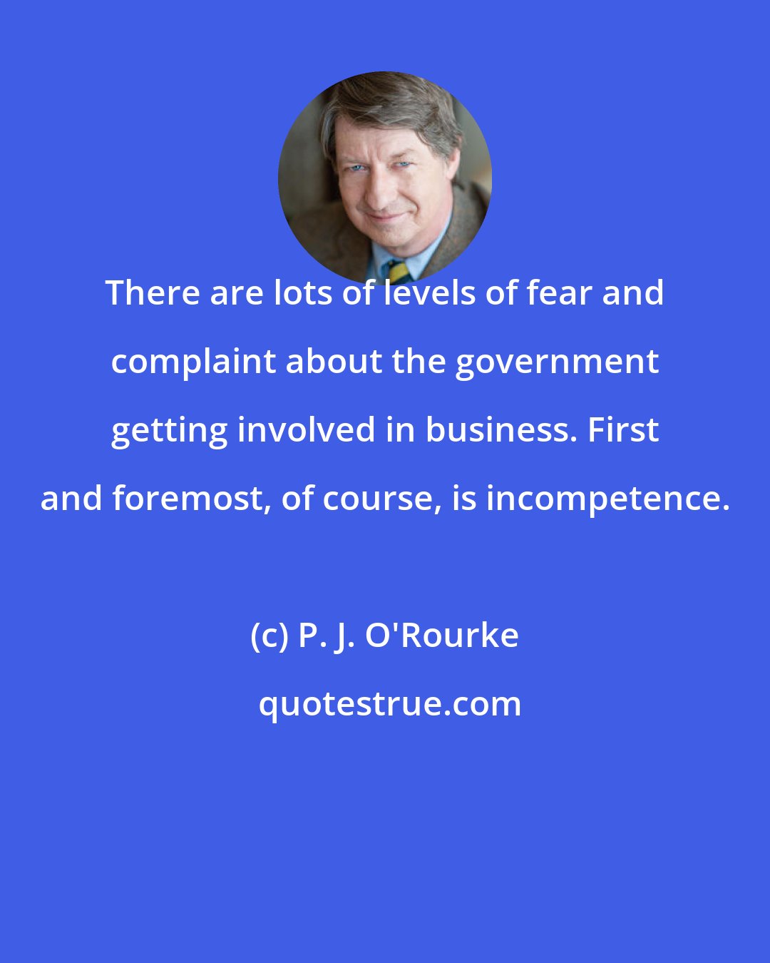 P. J. O'Rourke: There are lots of levels of fear and complaint about the government getting involved in business. First and foremost, of course, is incompetence.