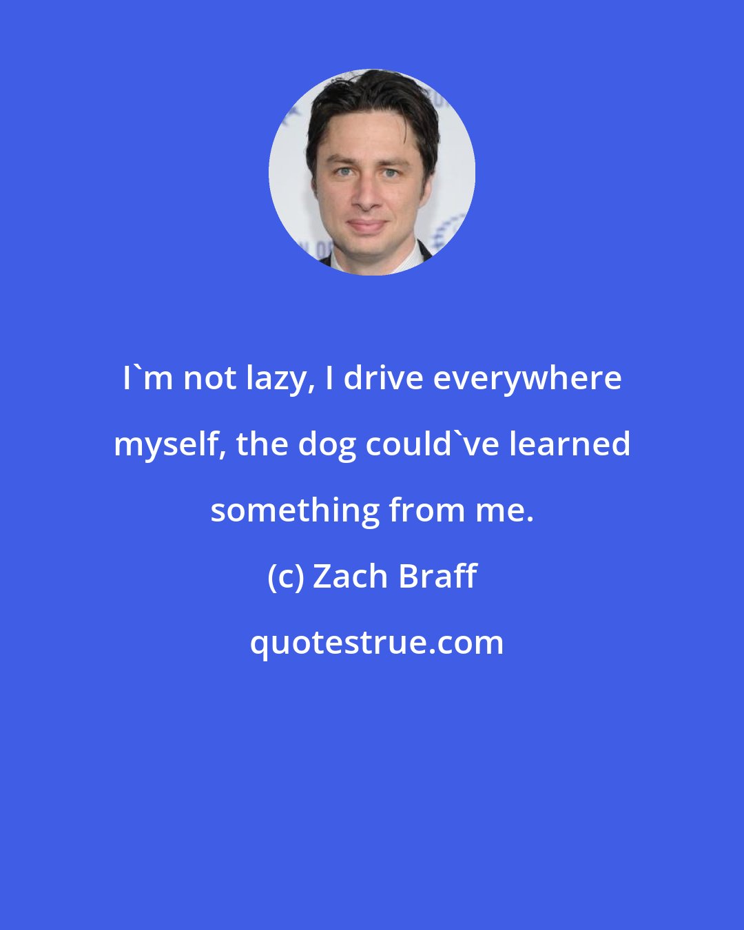 Zach Braff: I'm not lazy, I drive everywhere myself, the dog could've learned something from me.