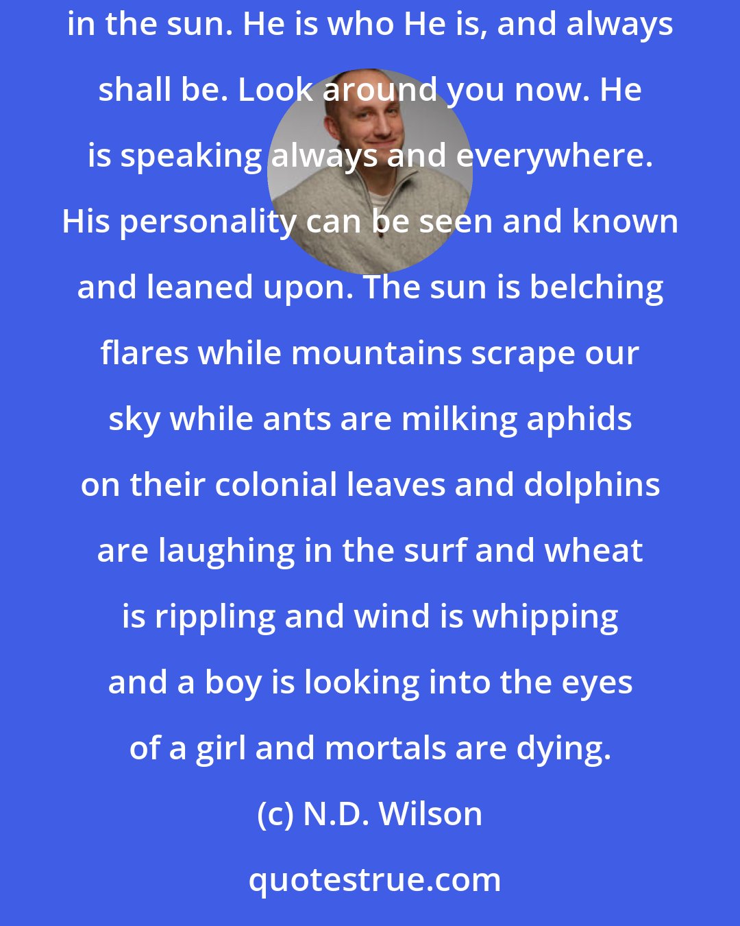 N.D. Wilson: God is a God of galaxies, of storms, of roaring seas and boiling thunder, but He is also the God of bread baking, of a child's smile, of dust motes in the sun. He is who He is, and always shall be. Look around you now. He is speaking always and everywhere. His personality can be seen and known and leaned upon. The sun is belching flares while mountains scrape our sky while ants are milking aphids on their colonial leaves and dolphins are laughing in the surf and wheat is rippling and wind is whipping and a boy is looking into the eyes of a girl and mortals are dying.