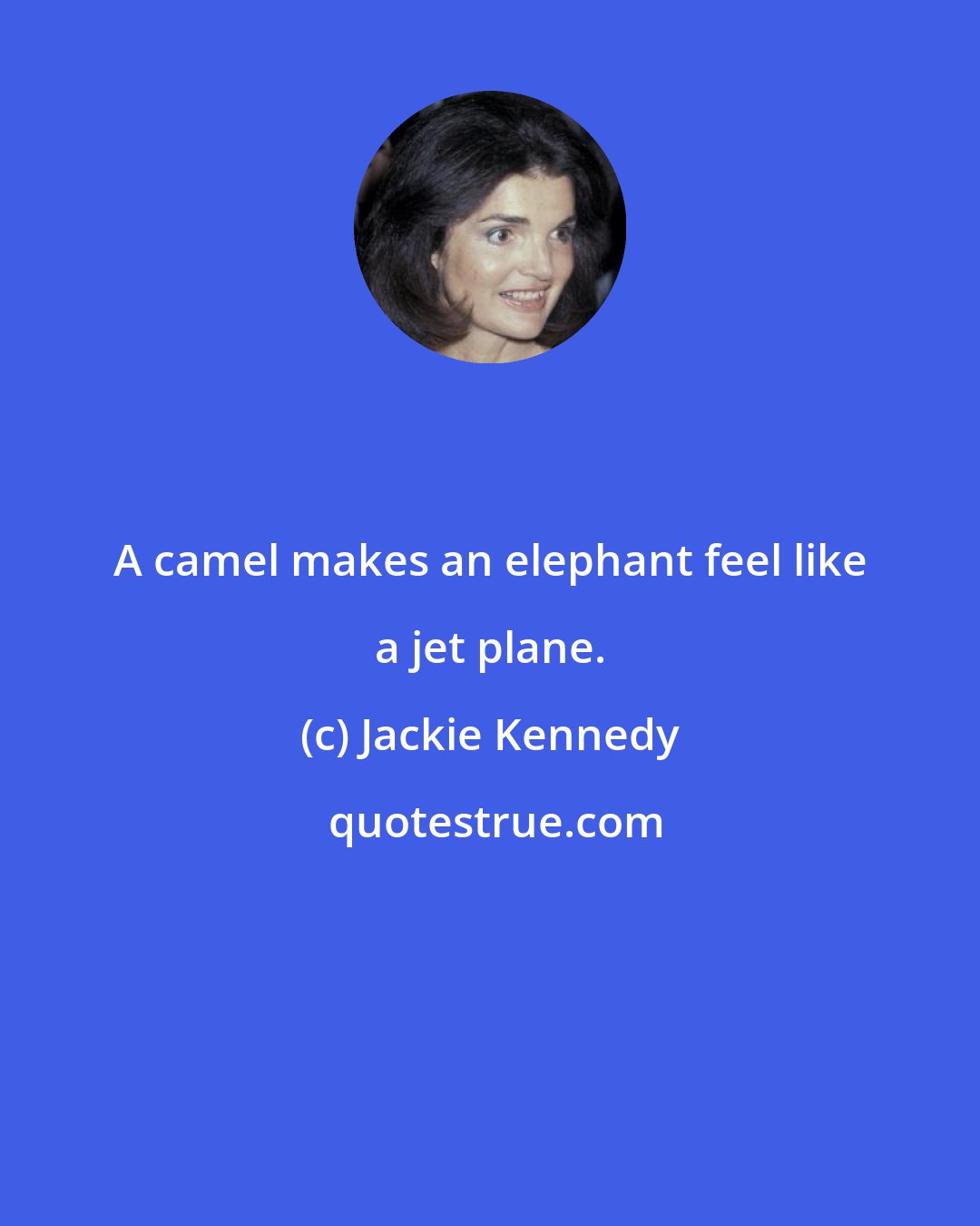 Jackie Kennedy: A camel makes an elephant feel like a jet plane.
