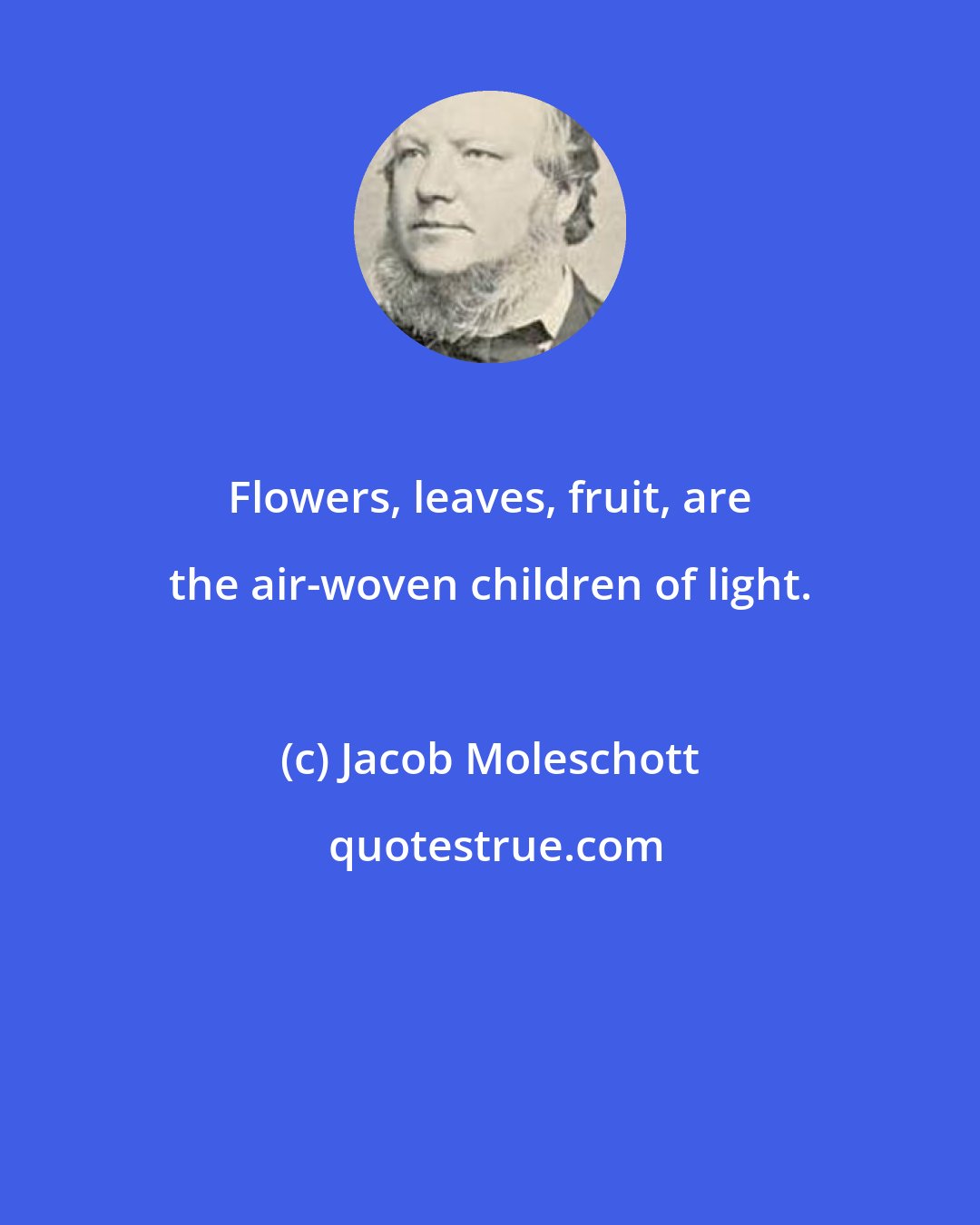 Jacob Moleschott: Flowers, leaves, fruit, are the air-woven children of light.