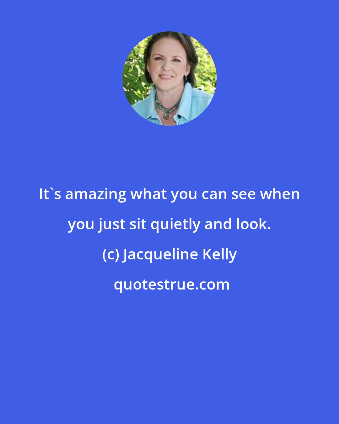 Jacqueline Kelly: It's amazing what you can see when you just sit quietly and look.