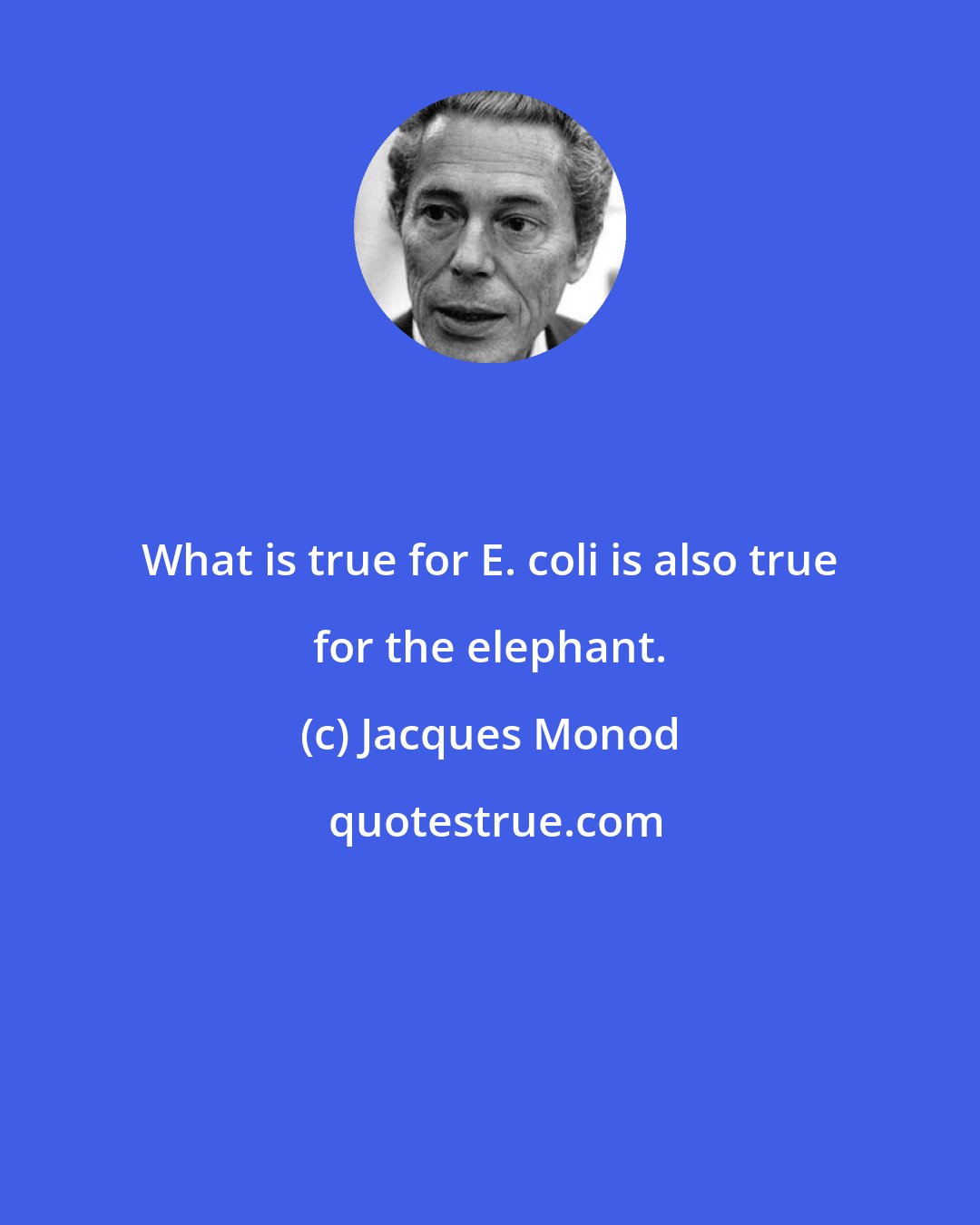 Jacques Monod: What is true for E. coli is also true for the elephant.