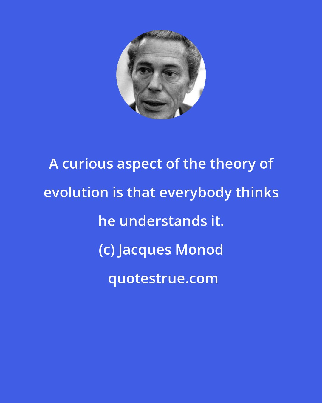 Jacques Monod: A curious aspect of the theory of evolution is that everybody thinks he understands it.