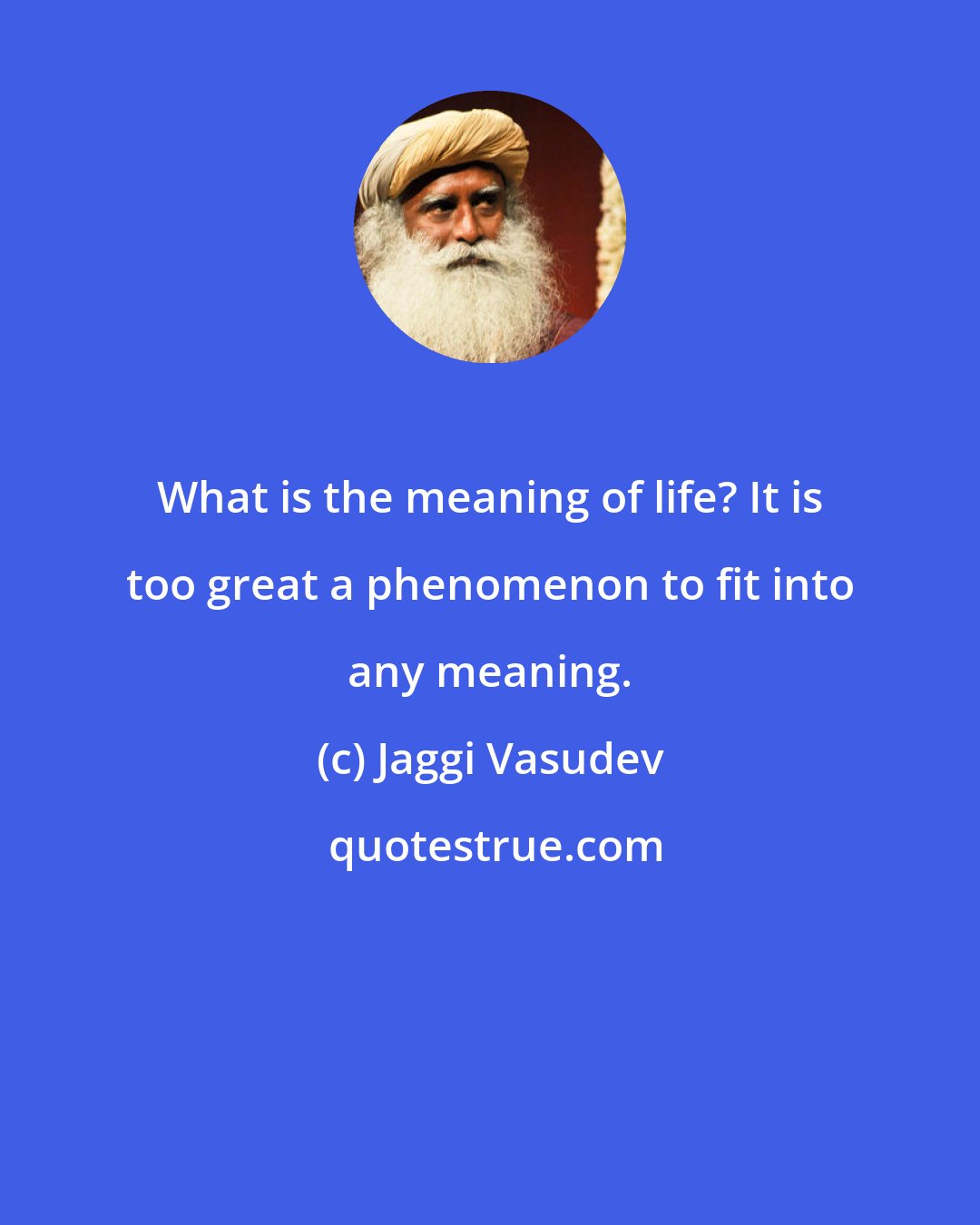 Jaggi Vasudev: What is the meaning of life? It is too great a phenomenon to fit into any meaning.