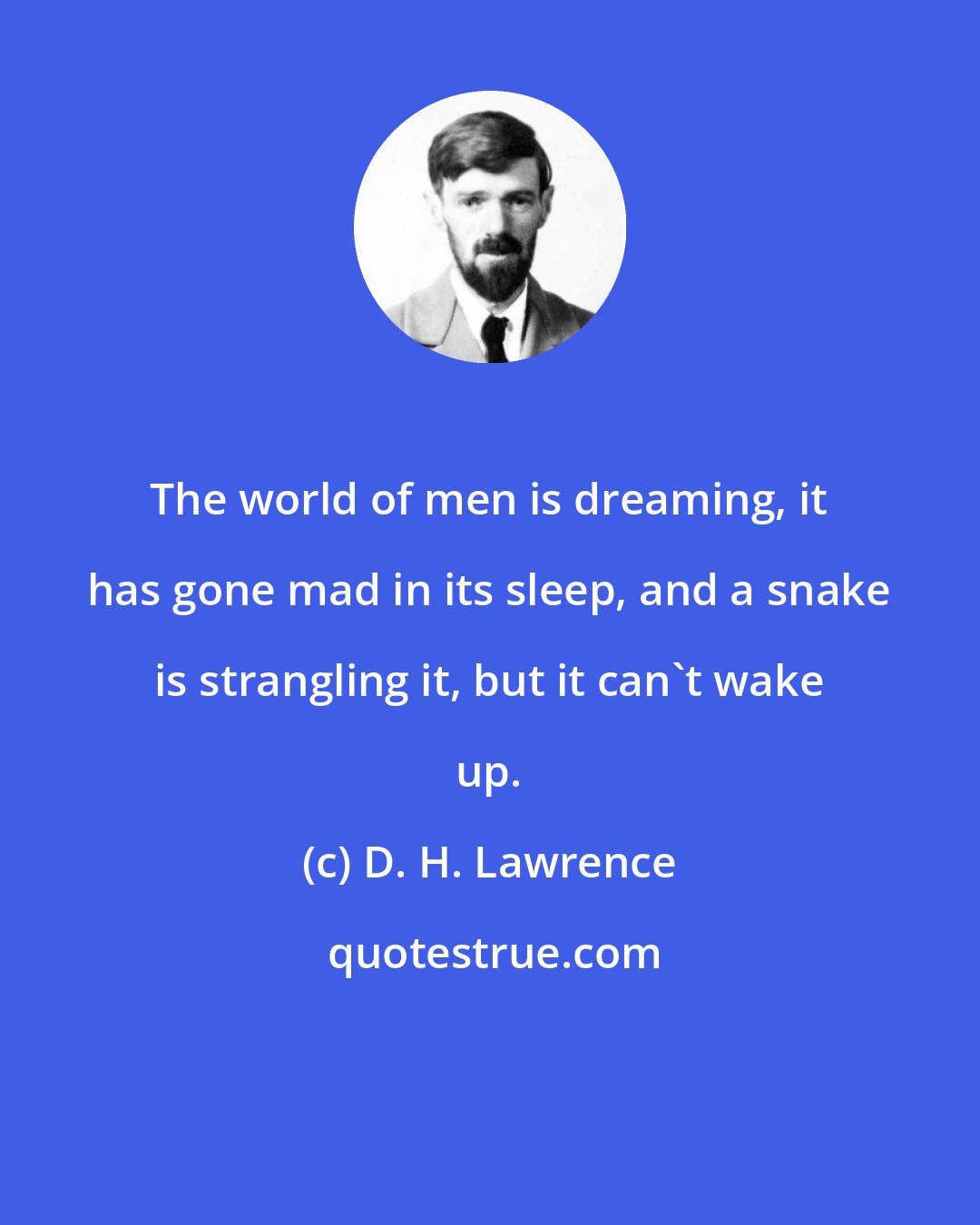 D. H. Lawrence: The world of men is dreaming, it has gone mad in its sleep, and a snake is strangling it, but it can't wake up.