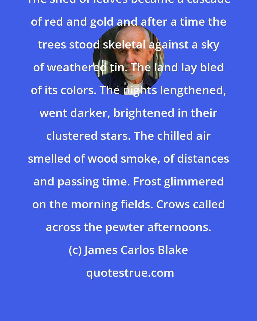 James Carlos Blake: The shed of leaves became a cascade of red and gold and after a time the trees stood skeletal against a sky of weathered tin. The land lay bled of its colors. The nights lengthened, went darker, brightened in their clustered stars. The chilled air smelled of wood smoke, of distances and passing time. Frost glimmered on the morning fields. Crows called across the pewter afternoons.