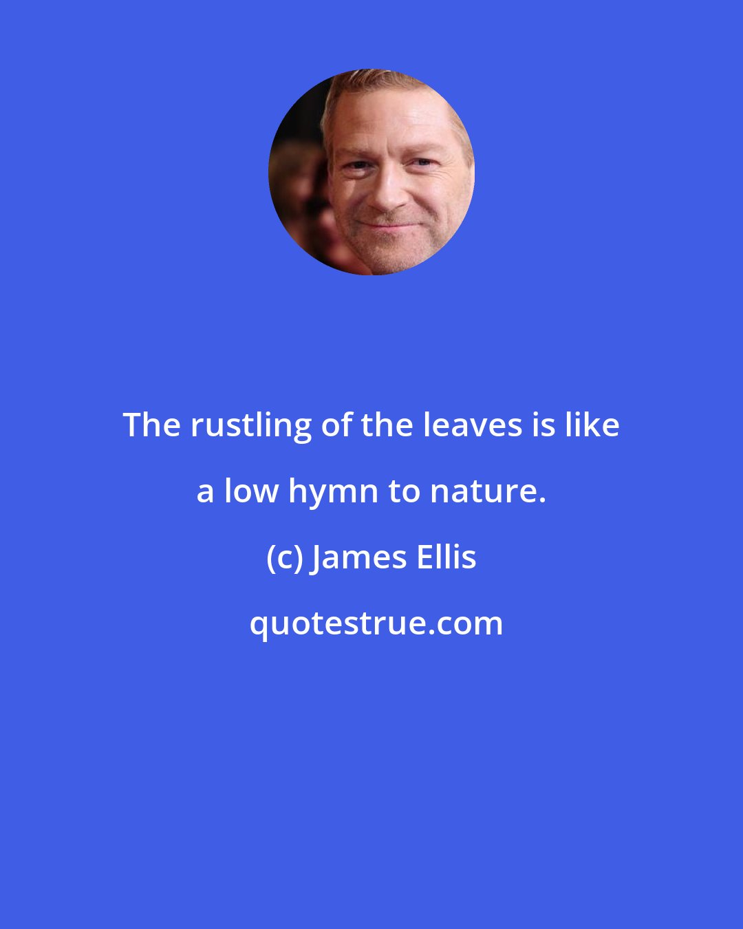 James Ellis: The rustling of the leaves is like a low hymn to nature.