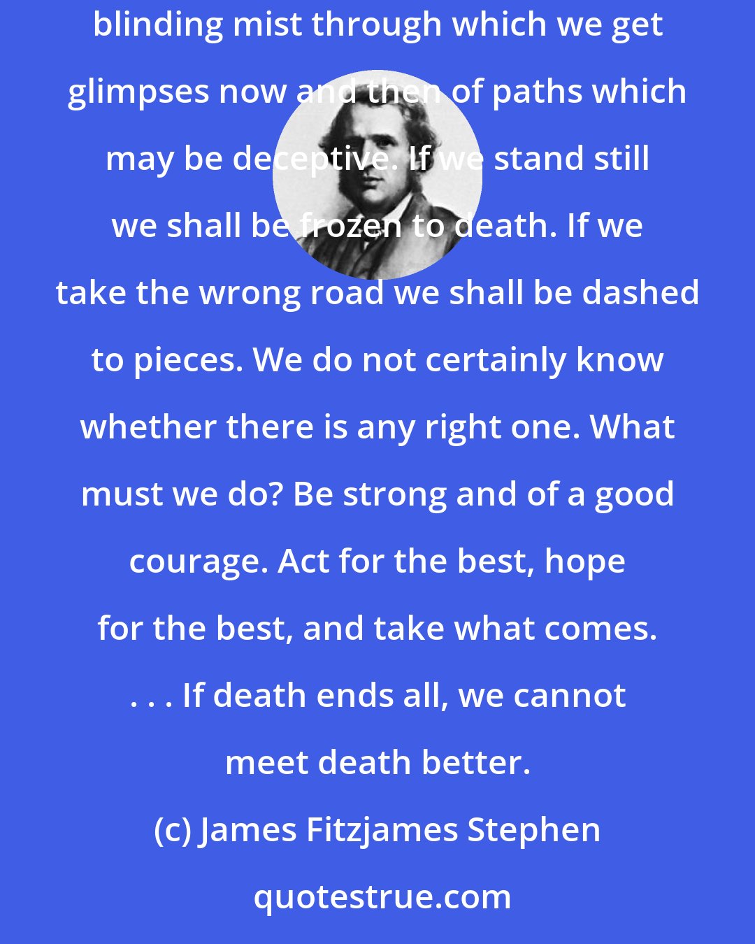 James Fitzjames Stephen: Each must act as he thinks best; and if he is wrong, so much the worse for him. We stand on a mountain pass in the midst of whirling snow and blinding mist through which we get glimpses now and then of paths which may be deceptive. If we stand still we shall be frozen to death. If we take the wrong road we shall be dashed to pieces. We do not certainly know whether there is any right one. What must we do? Be strong and of a good courage. Act for the best, hope for the best, and take what comes. . . . If death ends all, we cannot meet death better.