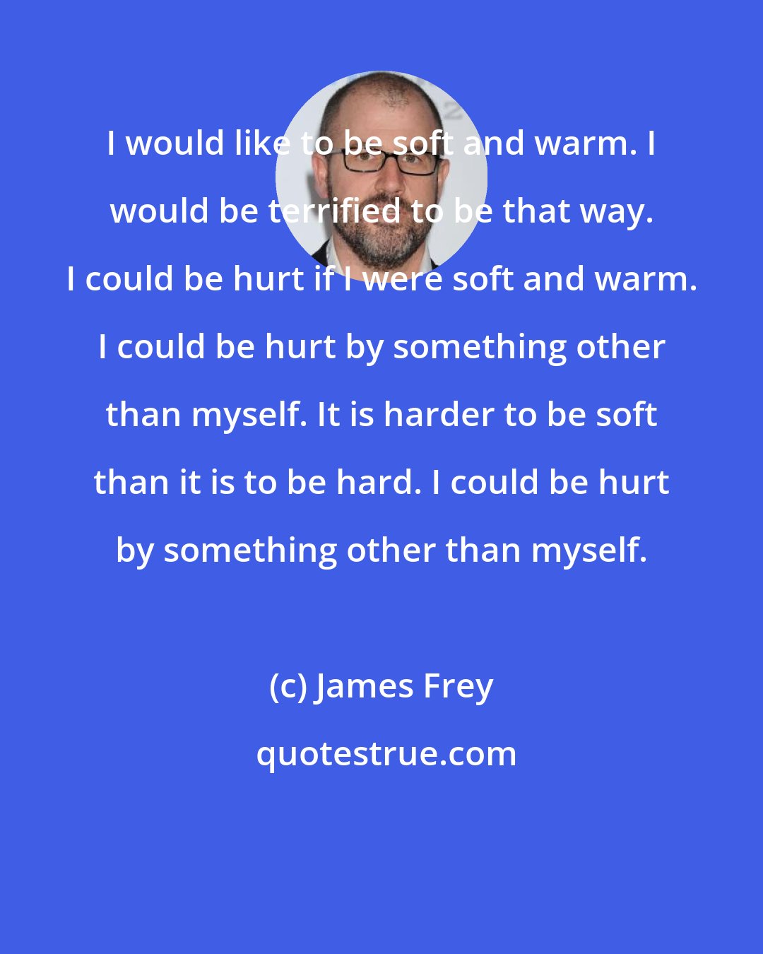 James Frey: I would like to be soft and warm. I would be terrified to be that way. I could be hurt if I were soft and warm. I could be hurt by something other than myself. It is harder to be soft than it is to be hard. I could be hurt by something other than myself.